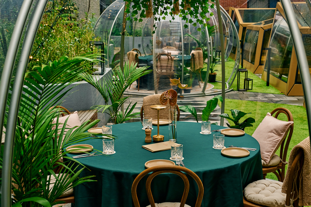 Ferns Hidden Winter Garden Brunch and Breakfast Pete Dillon 9